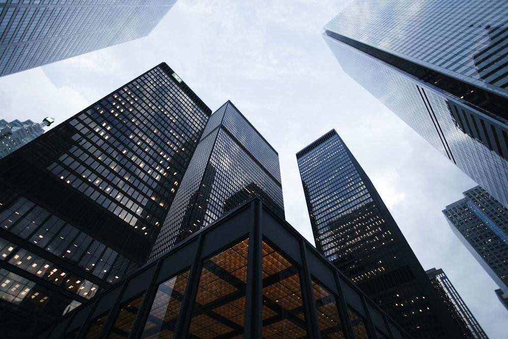 Scanysis Corporate Workspace